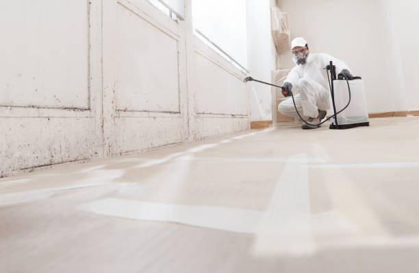 24/7 Emergency Mold Cleanup experts in Dupont, PA