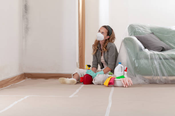 Reliable Mold Cleanup contractor in Dupont, PA by WQB Mold Removal